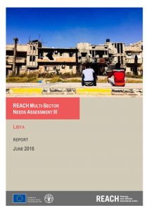 LBY_Report_Multi Sector Needs Assessment Update III_June 2016