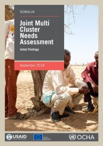 SOM_Initial Findings Report_Joint Multi Cluster Needs Assessment_September 2018