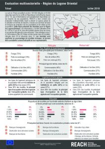 TCD_Factsheet_Evaluation Multisectorielle dans le Sud du Tchad, Région du Logone Oriental_Juillet 2018