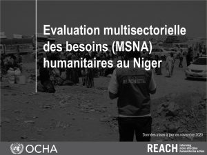 Evaluation multisectorielle des besoins (MSNA) 2020 au Niger, présentation des résultats clés – Octobre 2020