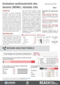 Evaluation multisectorielle des besoins au Niger, fiches d’information – novembre 2020