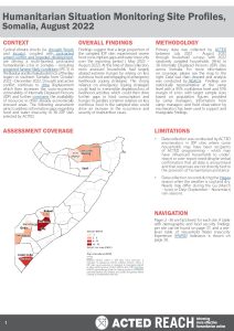 Somalia Humanitarian Situation Monitoring (HSM) IDP Site Profiles, August 2022
